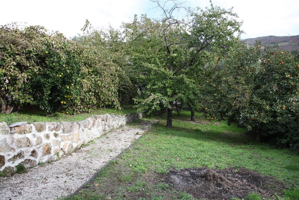 מלון São Martinho de Mouros Casa Cardoso מראה חיצוני תמונה